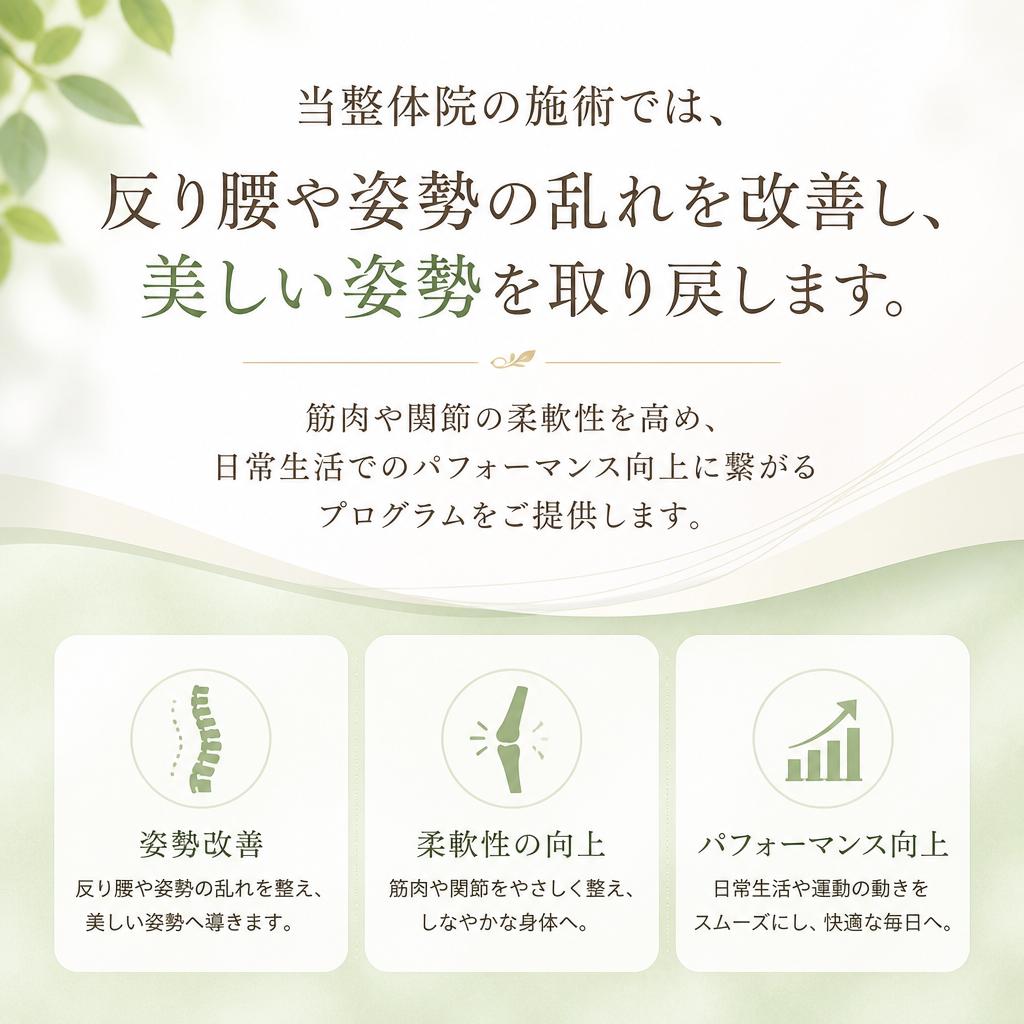 整体で目指す美しい姿勢