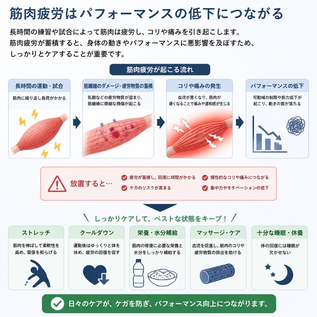 筋肉疲労のメカニズムとその影響